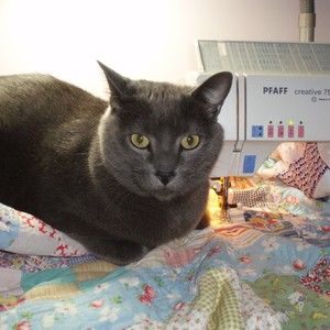 Meet your Posher, Vicky